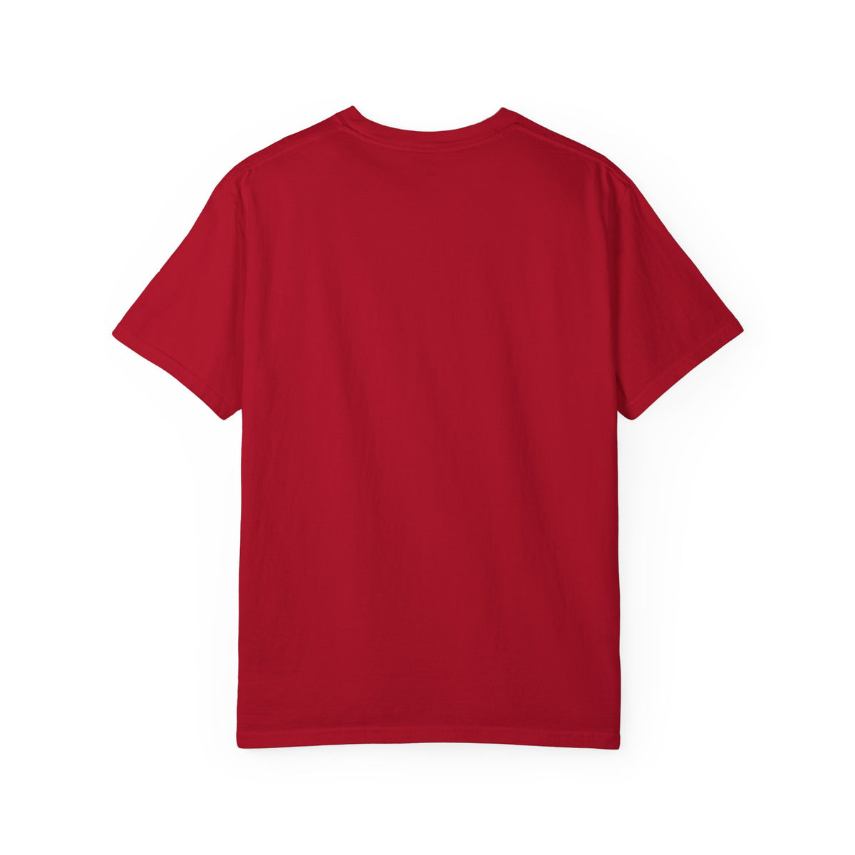 Ain't no family like the one I got Unisex Garment-Dyed T-shirt